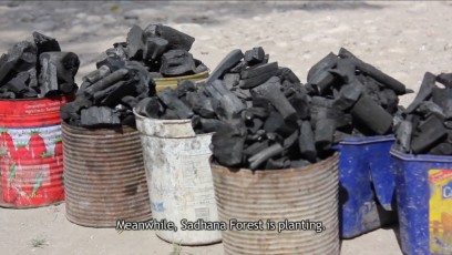 Charcoal sold in Anse a Pitre