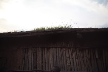 Grass growing on Samburu house