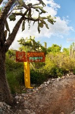 Sadhana Forest Haiti entrance