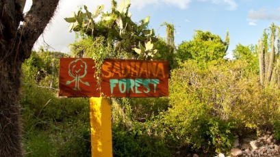 Sadhana Forest Haiti entrance