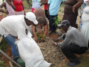 Tree planting training (2)
