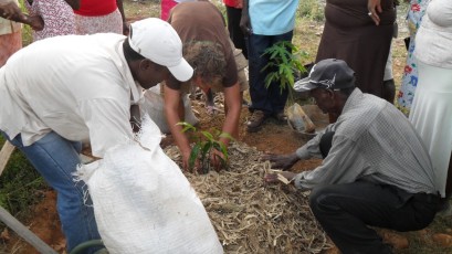 Tree planting training (2)