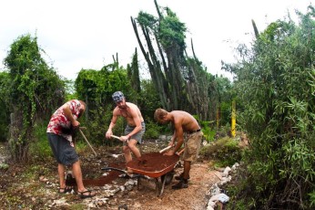 Volunteers creating permaculture sponge