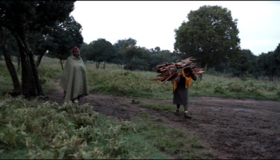 Woman coming back from the forest with firewood