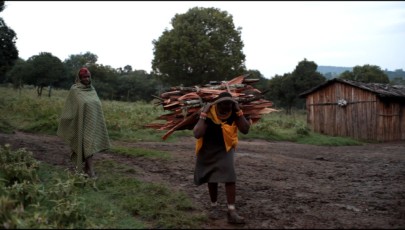 Woman coming back from the forest with firewood - more wood is taken then can be naturally replenished