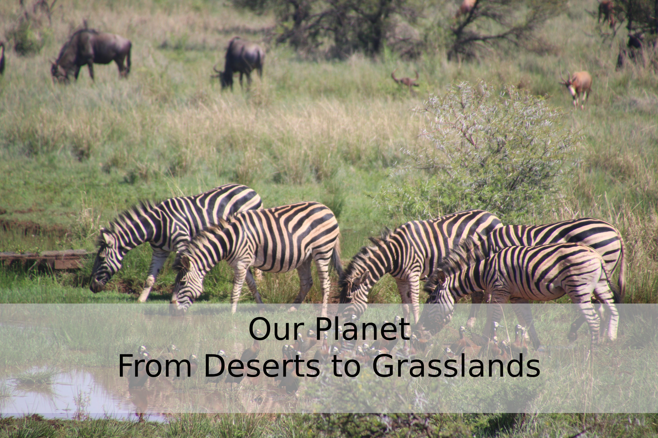 Our Planet From Deserts To Grasslands Sadhana Forest