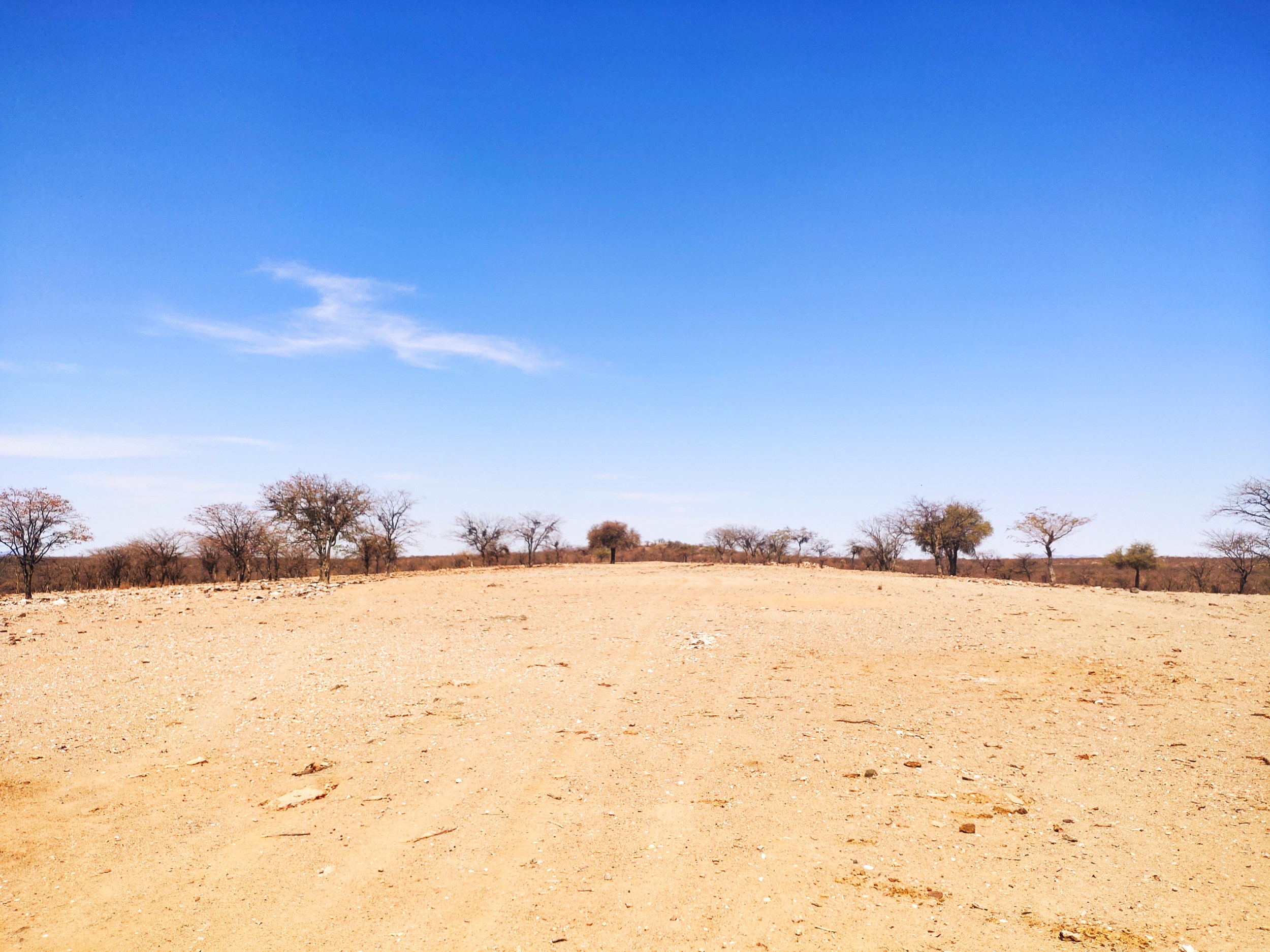 Sadhana Forest land at the start